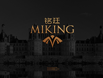 品牌vi設(shè)計(jì)