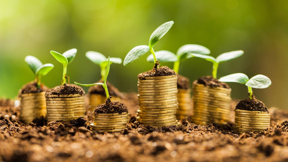 為什么農產品電商帶貨開始崛起-短視頻營銷