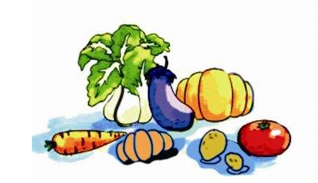 農(nóng)產(chǎn)品短視頻營銷 農(nóng)產(chǎn)品短視頻營銷