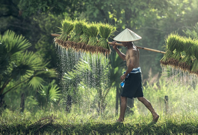 農(nóng)產(chǎn)品電商帶貨短視頻營(yíng)銷(xiāo) 農(nóng)產(chǎn)品電商帶貨短視頻營(yíng)銷(xiāo)