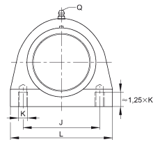 直立式軸承座單元 RSHEY30-TV-VA, 塑料軸承座,內圈帶平頭螺釘的外球面球軸承,耐腐蝕設計,R 型密封 直立式軸承座單元 RSHEY30-TV-VA, 塑料軸承座,內圈帶平頭螺釘的外球面球軸承,耐腐蝕設計,R 型密封