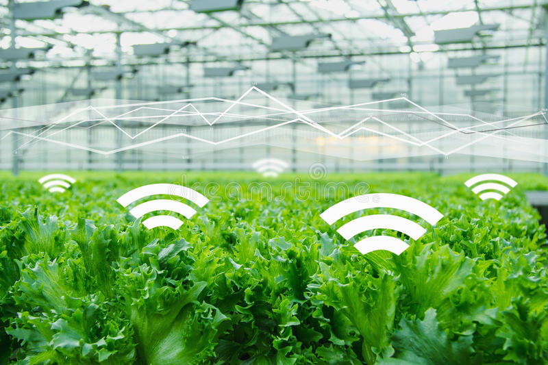 互聯(lián)網(wǎng)農(nóng)業(yè)品牌定位應(yīng)該找哪些人來做？