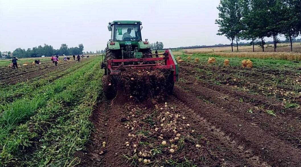 農(nóng)業(yè)品牌策劃需要長期做嗎？