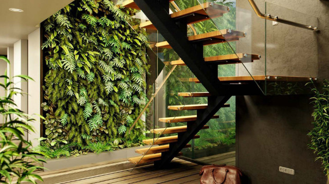 綠植租賃的好處以及擺放建議-上海品牌策劃公司