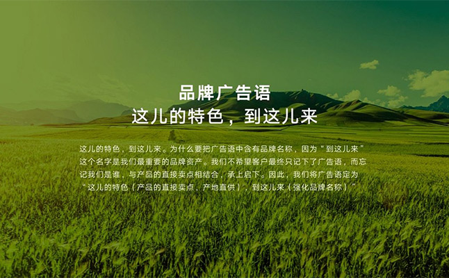 農(nóng)業(yè)品牌策劃推動(dòng)農(nóng)業(yè)品牌發(fā)展