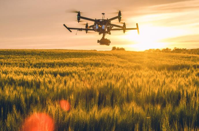 農(nóng)業(yè)發(fā)展戰(zhàn)略策劃 農(nóng)產(chǎn)品品牌策劃設(shè)計公司