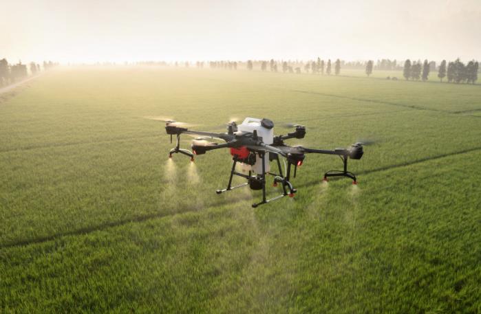 農(nóng)業(yè)發(fā)展戰(zhàn)略策劃 農(nóng)產(chǎn)品品牌策劃設(shè)計公司