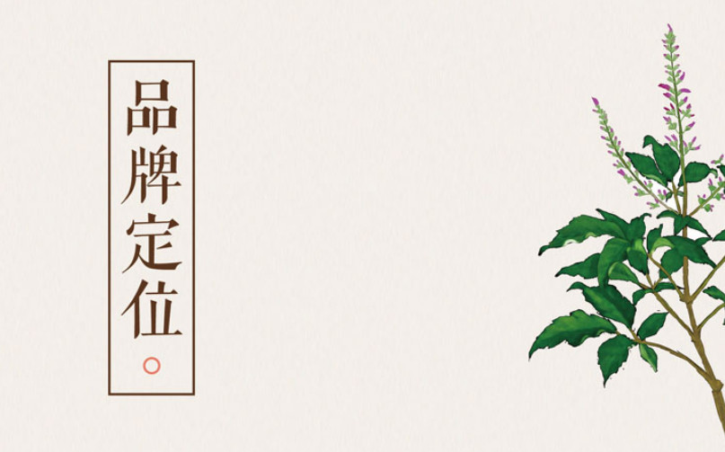 滋補(bǔ)品牌全案策劃公司