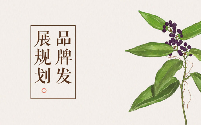 滋補(bǔ)品牌全案策劃公司