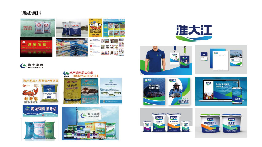 淮大江品牌形象升級