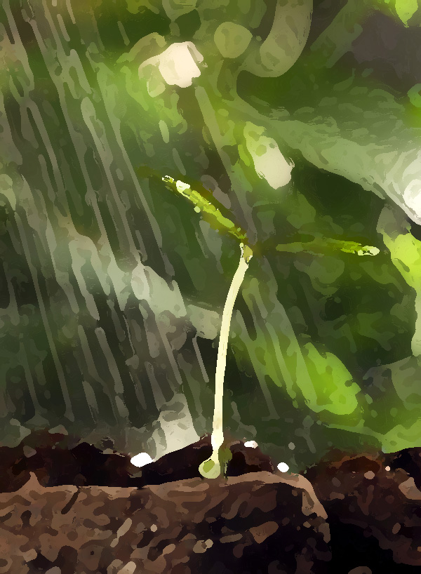 農(nóng)業(yè)公司品牌提升策劃，實現(xiàn)農(nóng)業(yè)垂直一體化