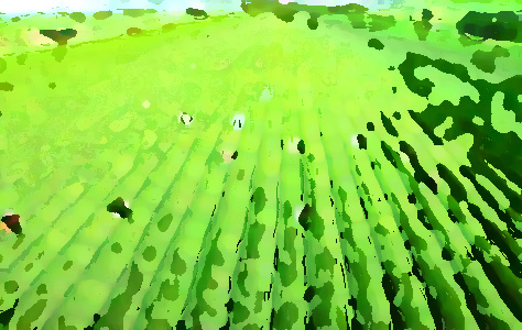 農(nóng)業(yè)品牌提升機構(gòu)，促進農(nóng)業(yè)農(nóng)村經(jīng)濟轉(zhuǎn)型