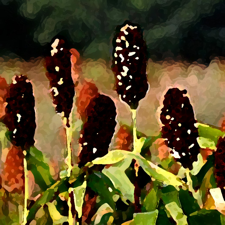 農(nóng)業(yè)老品牌提升，讓品牌強起來