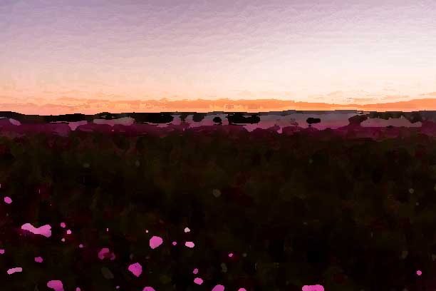 化妝品全案策劃公司應(yīng)該建立怎樣的形象？