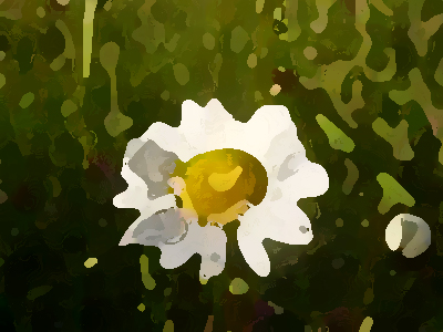 如何進行農(nóng)業(yè)品牌形象提升？