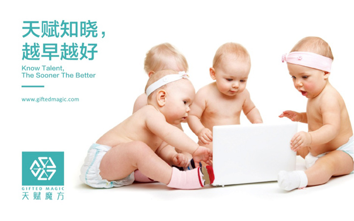 天賦魔方品牌VI設(shè)計(jì)