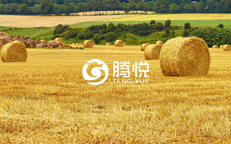 肥料品牌策劃，騰悅肥料