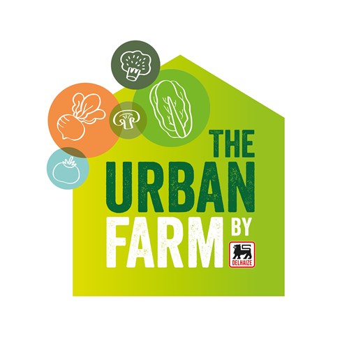 一套時(shí)尚的農(nóng)業(yè)品牌設(shè)計(jì)，設(shè)計(jì)簡潔明了，用色鮮明，讓人看了過目不忘，值得搞農(nóng)業(yè)品牌朋友學(xué)習(xí)交流。