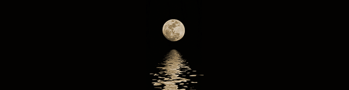 高端餐飲品牌設計 高端餐飲品牌設計