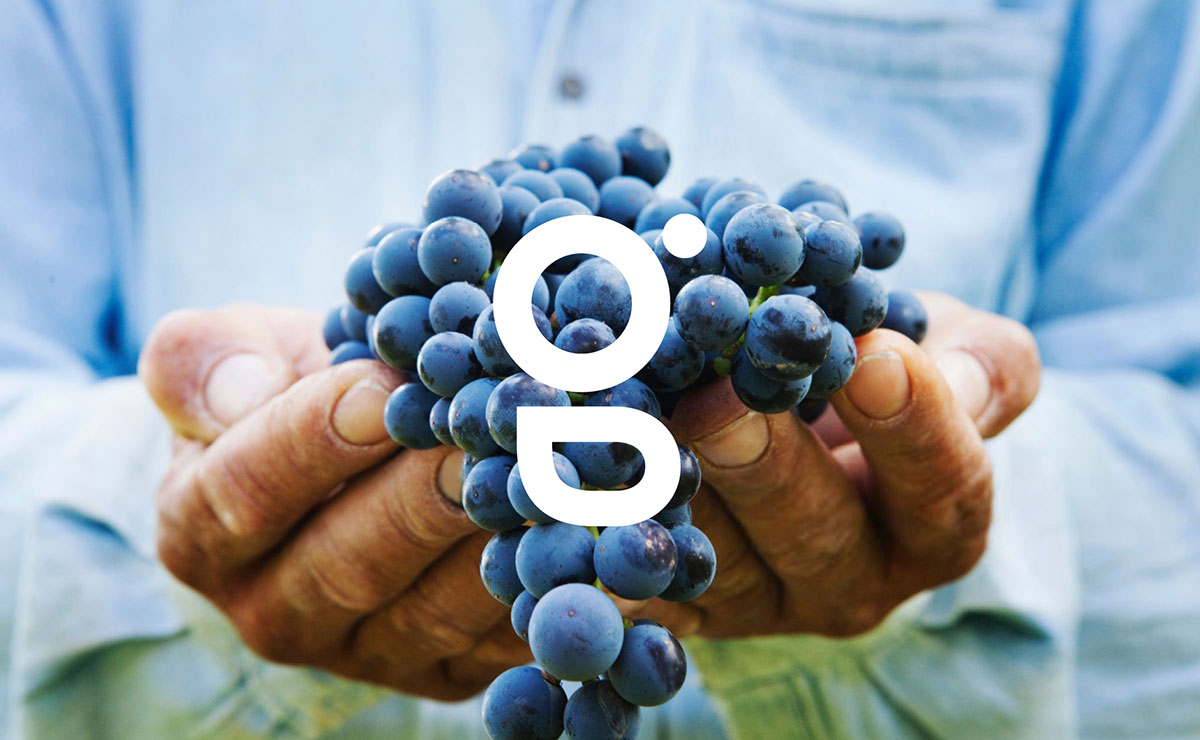 農業(yè)品牌設計