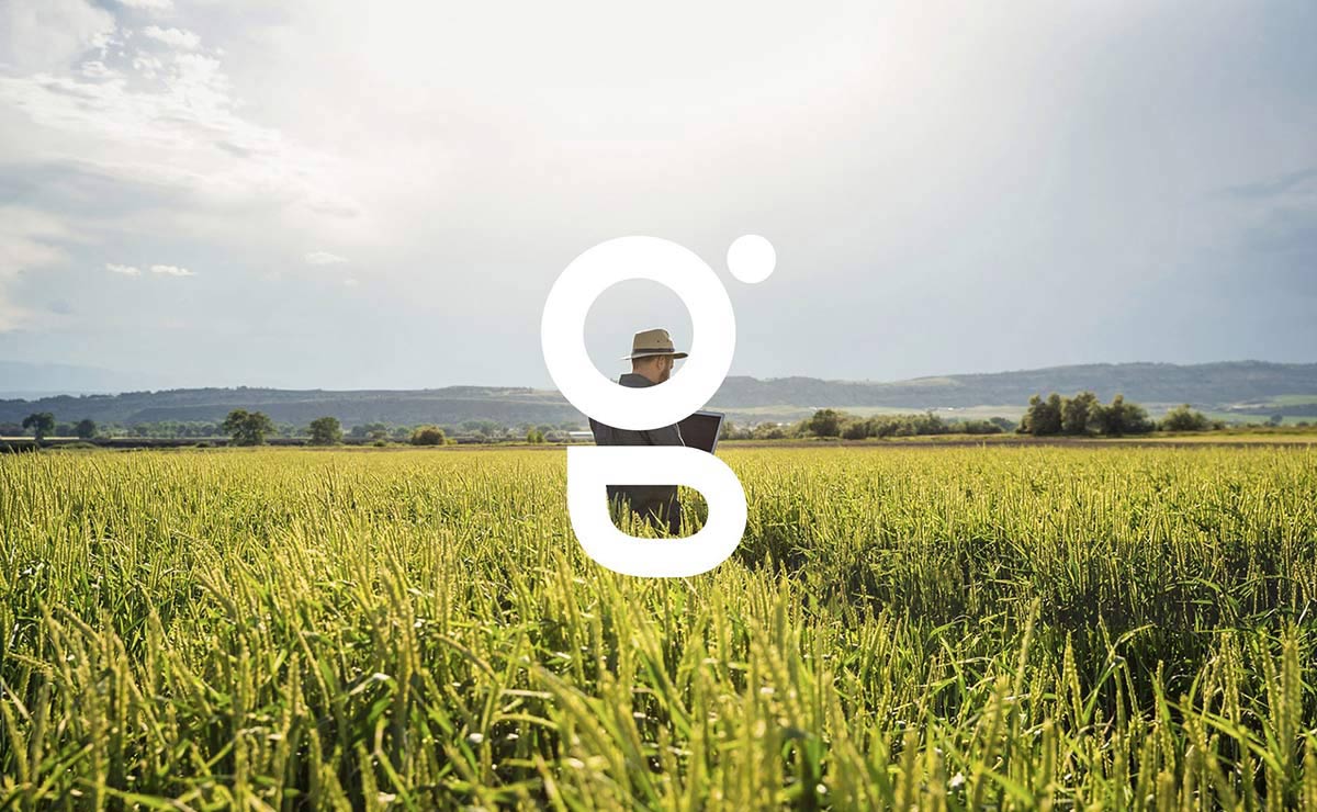 農業(yè)品牌VI設計