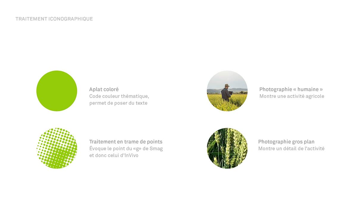 農業(yè)品牌vi設計