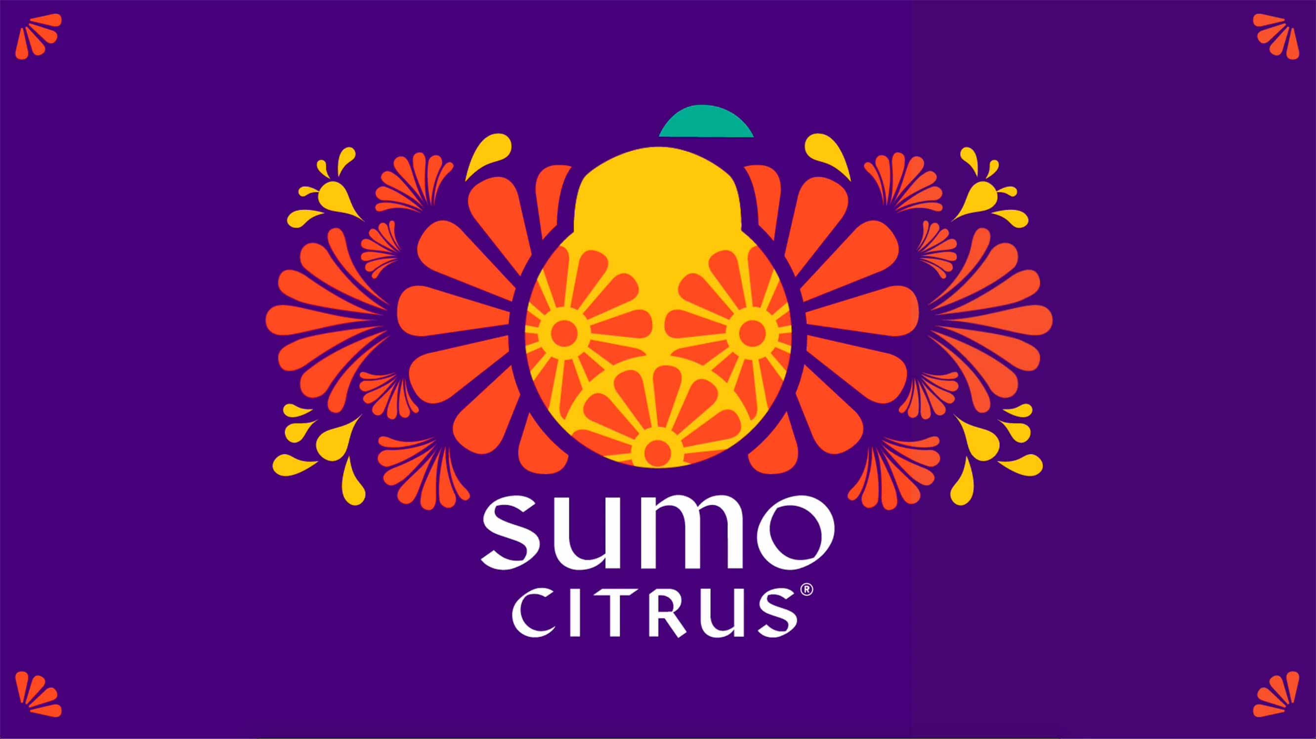 水果品牌設(shè)計(jì)