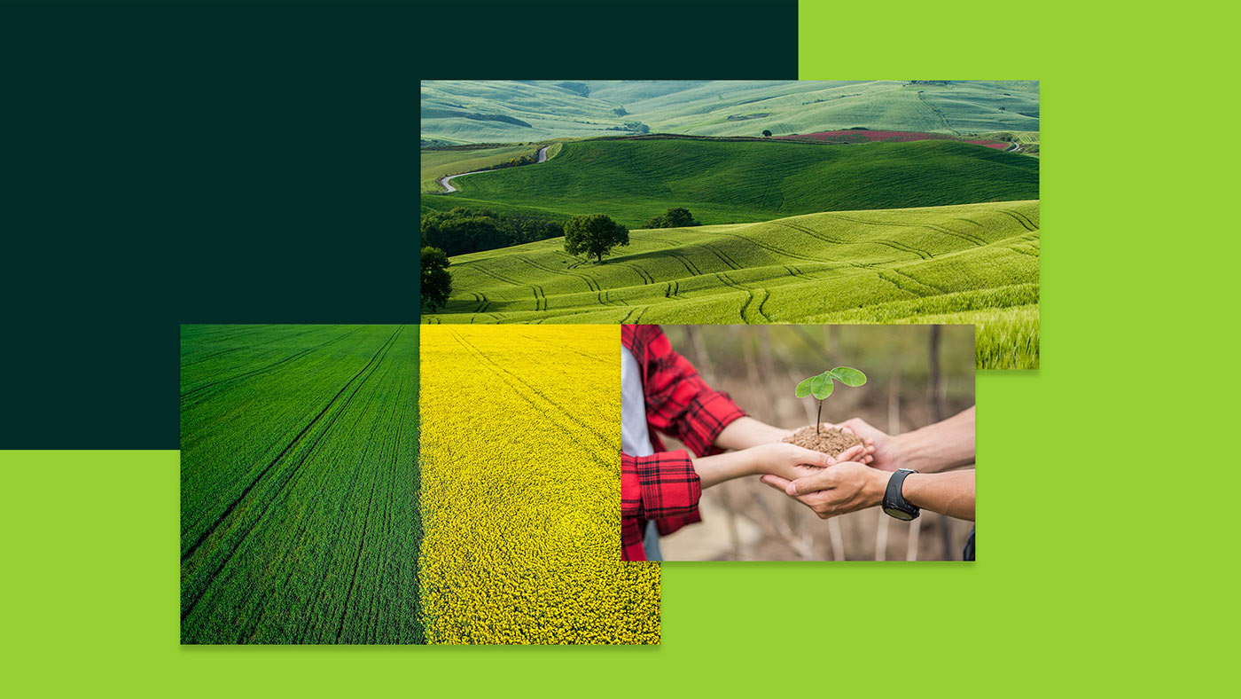 這一套國外的農(nóng)業(yè)品牌建設(shè)案例