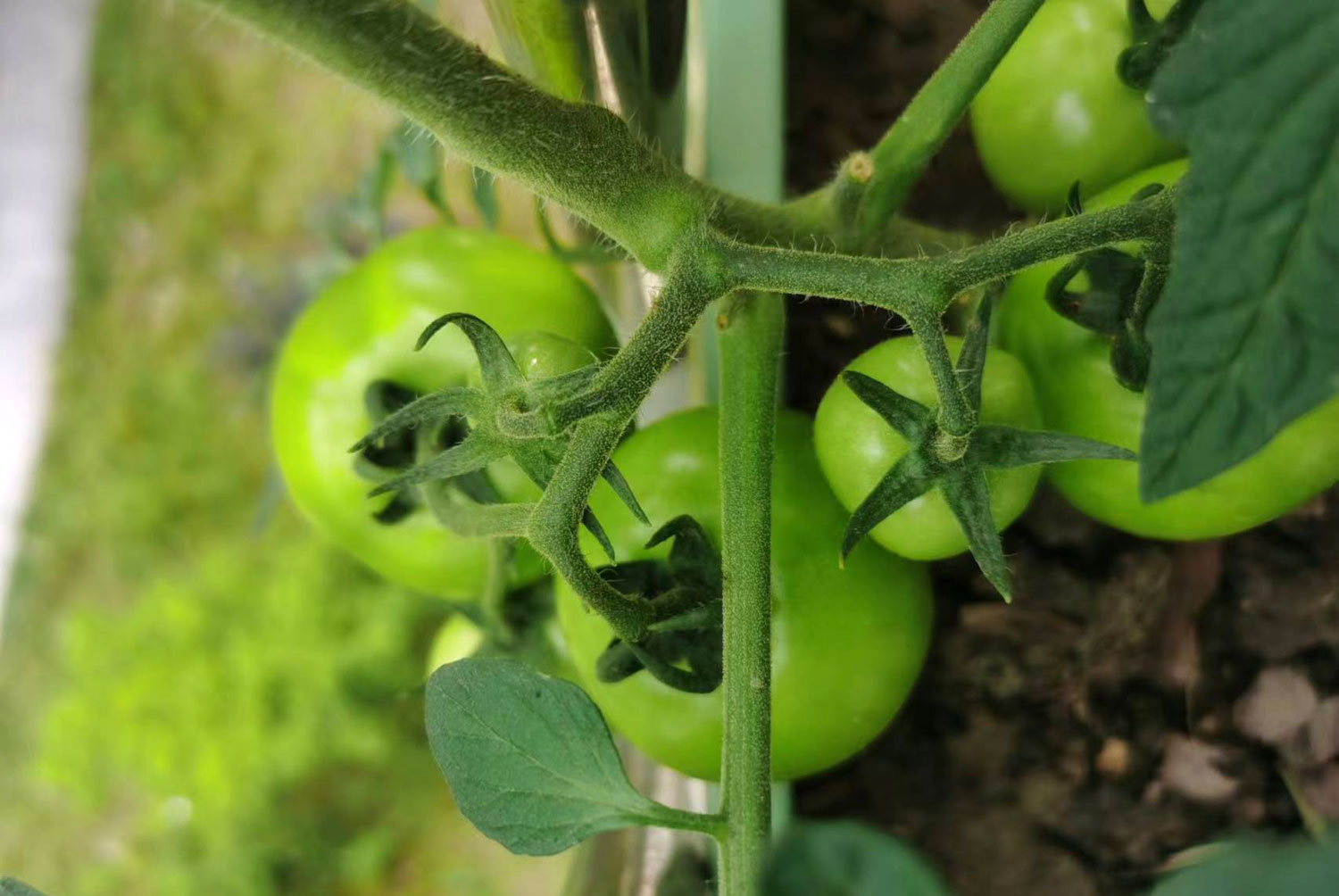 農(nóng)產(chǎn)品公司如何策劃有競(jìng)爭(zhēng)力的品牌定位 農(nóng)產(chǎn)品公司如何策劃有競(jìng)爭(zhēng)力的品牌定位