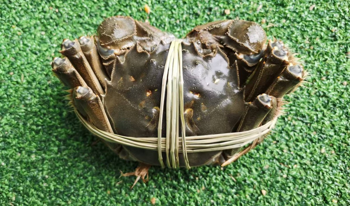 中秋節(jié)前的大閘蟹品牌營(yíng)銷策劃方案