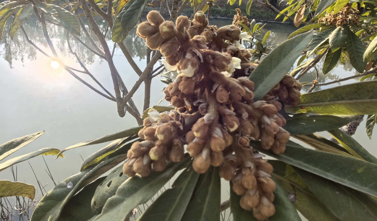 農(nóng)業(yè)品牌策劃公司 農(nóng)業(yè)品牌策劃公司