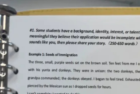 美本申請材料-美本文書