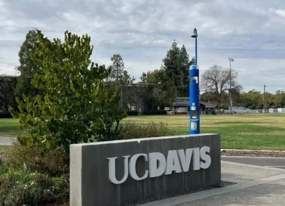 美國心理學本科公立大學