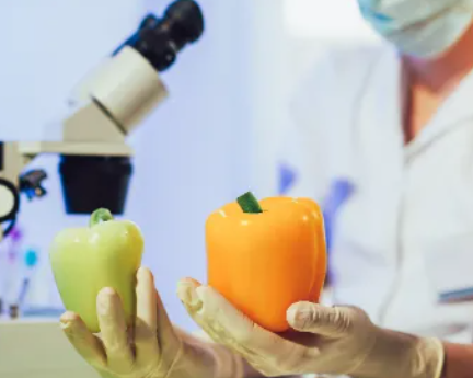 美國(guó)食品科學(xué)碩士