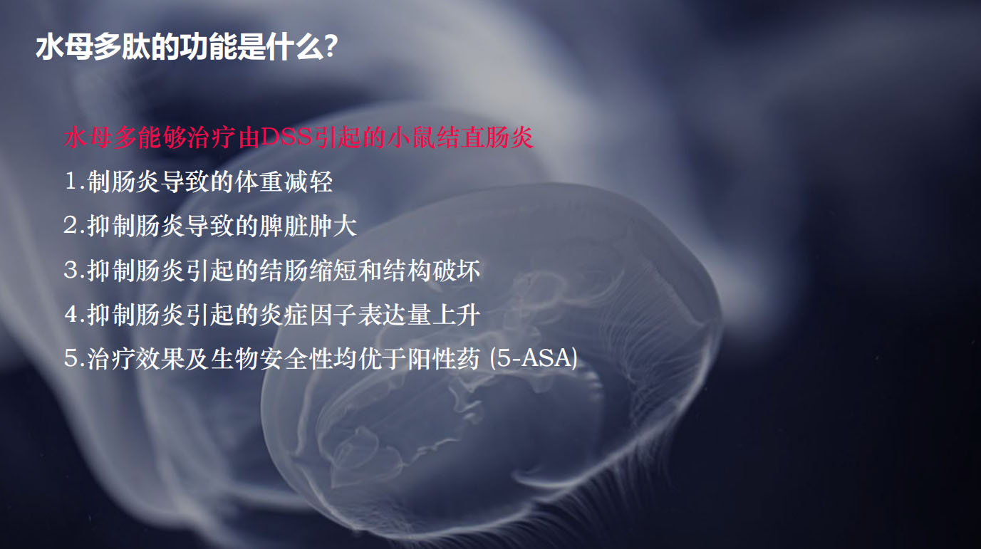 特醫(yī)食品營養(yǎng)品品牌全案策劃